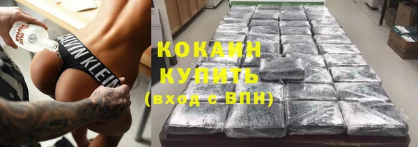 сатива Лабытнанги