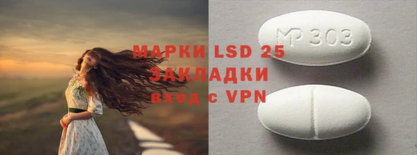 сатива Лабытнанги