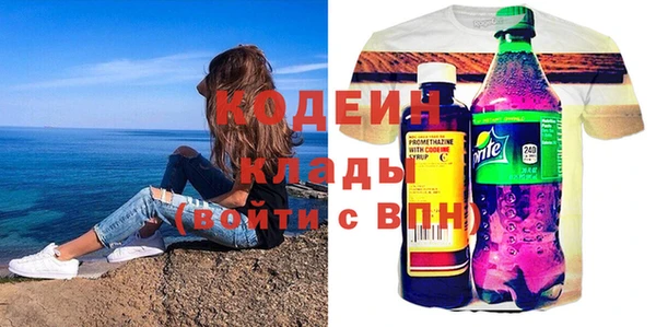сатива Лабытнанги