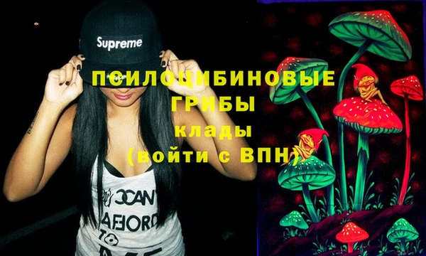 сатива Лабытнанги
