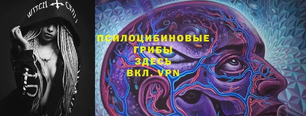 сатива Лабытнанги