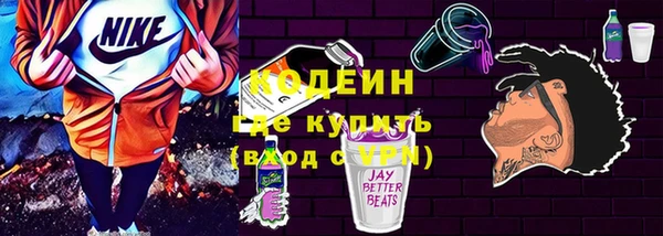 сатива Лабытнанги