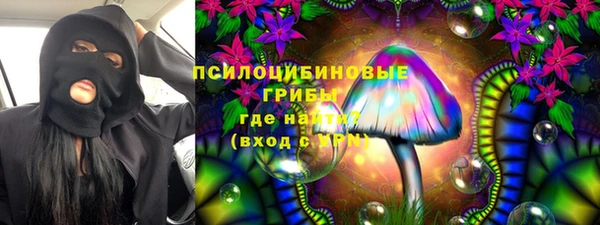 сатива Лабытнанги