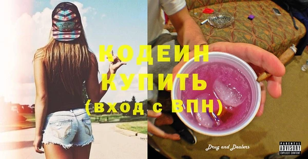 сатива Лабытнанги