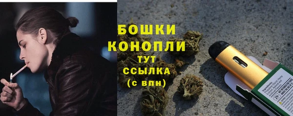 сатива Лабытнанги