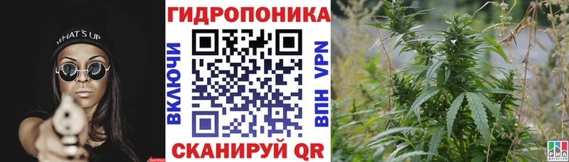 Купить закладки  Муром  Бошки Шишки индика 